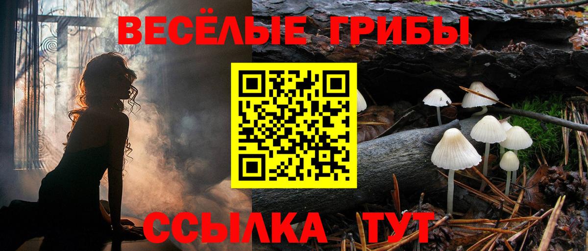 Псилоцибиновые грибы Psilocybe  Вход с VPN  где можно купить   Кисловодск  Галлюциногенные грибы Magic Shrooms 